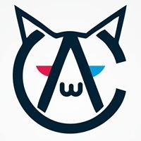 Admen Creative chat bot