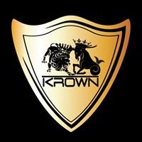 Krown LLC chat bot