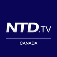 NTD Television Canada chat bot
