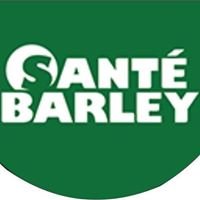 Miracle Sante Barley Grass chat bot