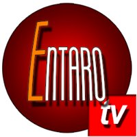 Entaro TV chat bot