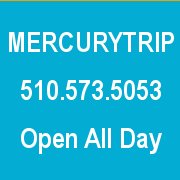 Mercury Trip chat bot