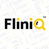 FliniQ chat bot