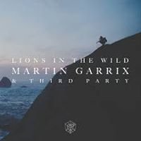 Martin Garrix ft Third Party - Lions In The Wild chat bot