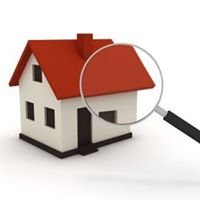 EG Homes & Property Investment chat bot