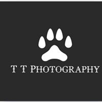 T&T Photography chat bot