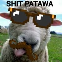 Shit Patawa chat bot