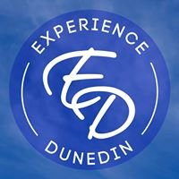 Experience Dunedin chat bot