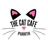The Cat Cafe Perth chat bot