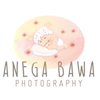 Anega Bawa Photography chat bot