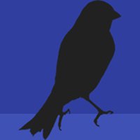 Canary Design chat bot