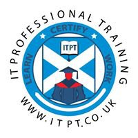 IT Professional Training chat bot