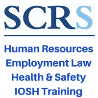 SCRSolutions Ltd - Human Resource Consultants chat bot