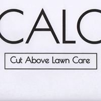 Cut Above Lawn Care LLC chat bot