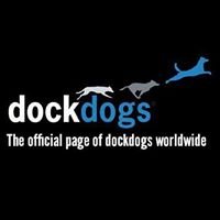 dockdogs chat bot