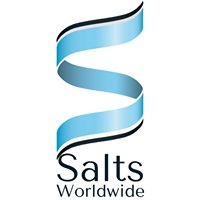 Salts Worldwide chat bot