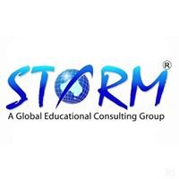Storm Consultancy chat bot