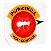 Perfect Kill Pest Control chat bot