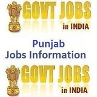 Punjab Government Jobs Information chat bot