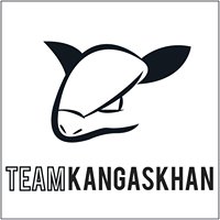Kangaskhan - Mongol Rally 2015 chat bot