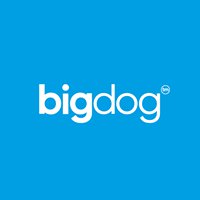 BigDog chat bot