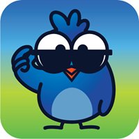 Flirdbird chat bot