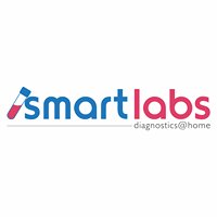 Thesmartlabs chat bot