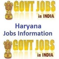 Haryana Government Jobs Information chat bot