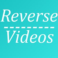 Reverse Videos chat bot