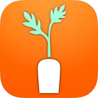 Carrot Wellness chat bot