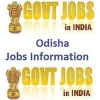 Odisha Government Jobs Information chat bot