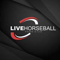 LiveHorse-Ball chat bot