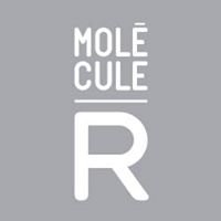 Molecule-R Flavors chat bot