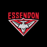Essendon Football Club chat bot