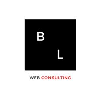 Benjamin Lutje Web Consulting chat bot