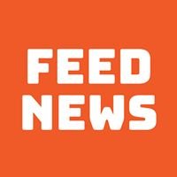 Feed News chat bot