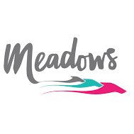 The Meadows 1 chat bot
