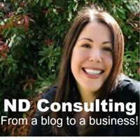 ND Consulting by Sarah Nenni-Daher chat bot
