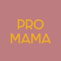 Pro Mama chat bot