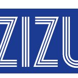 ZIZU Software Solutions chat bot