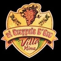 Ristorante Grappolo D'oro Villa Nina chat bot