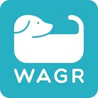 Wagr chat bot