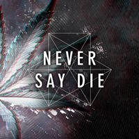 Never Say Die Records chat bot