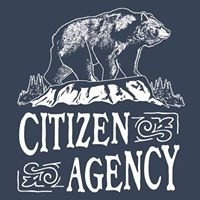 Citizen Agency chat bot