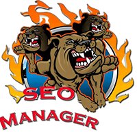 SEO Manager chat bot