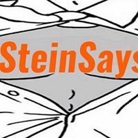 SteinSays Blog chat bot
