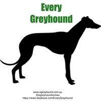 Every Greyhound chat bot