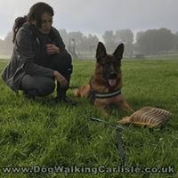 Dog Walking & Pet Sitting in Carlisle chat bot