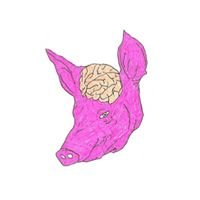 Pig's Brain chat bot