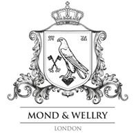 Mond and Wellry Ltd chat bot